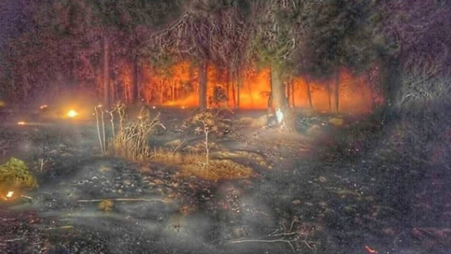 الاحتلال يطلب مساعدة اليونان وايطاليا في إخماد الحرائق