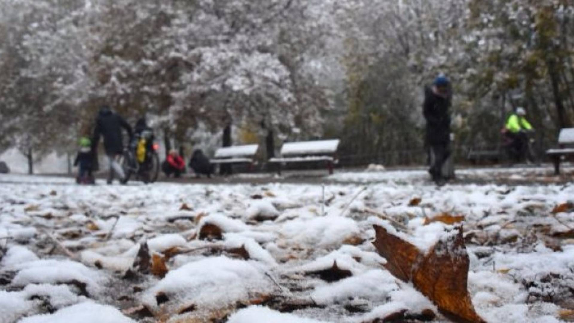 العاصمة اليابانية طوكيو تتعرض لموجة ثلوج منذ 54 عاما 