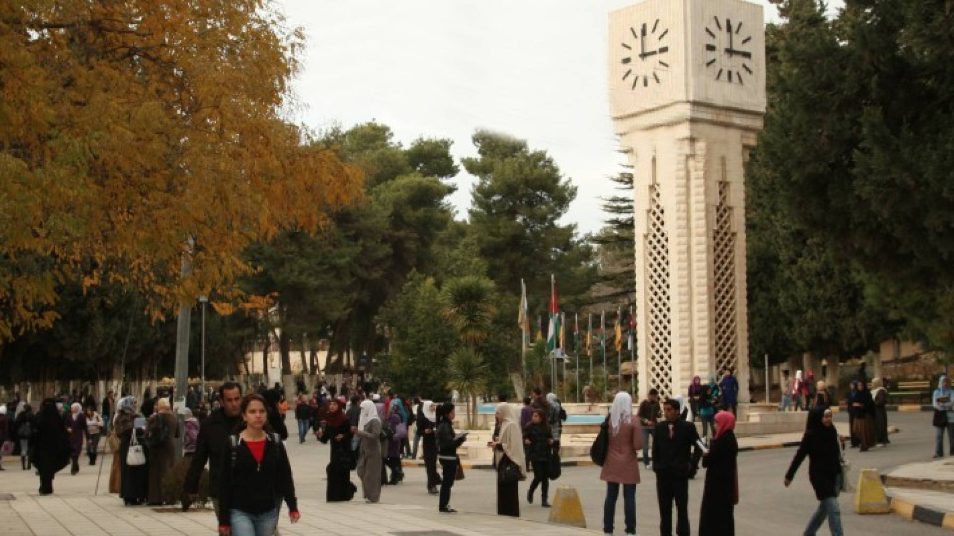 الجامعة الاردنية