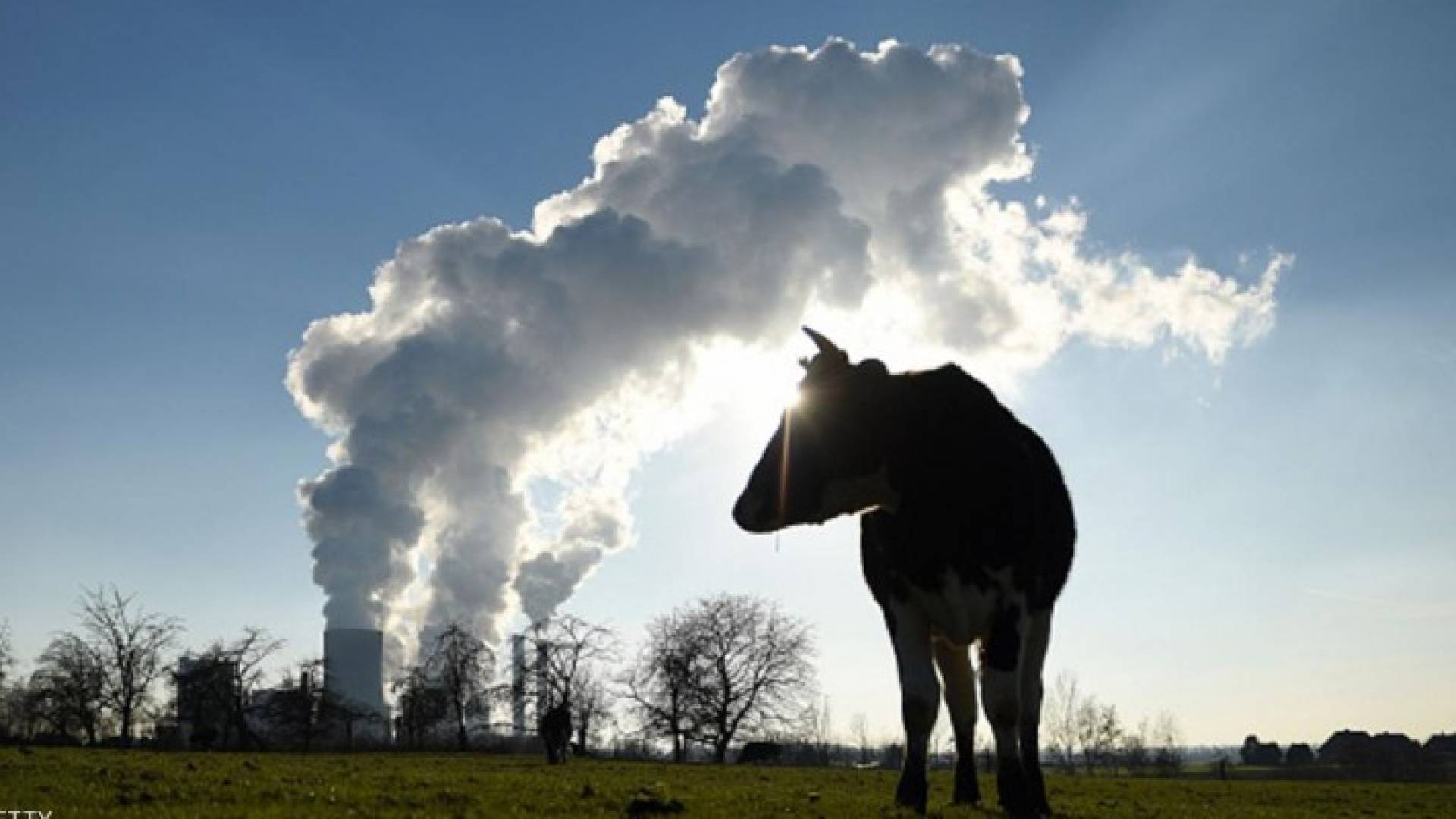 دول عدة رصدت استثمارات مهمة للطاقة المتجددة