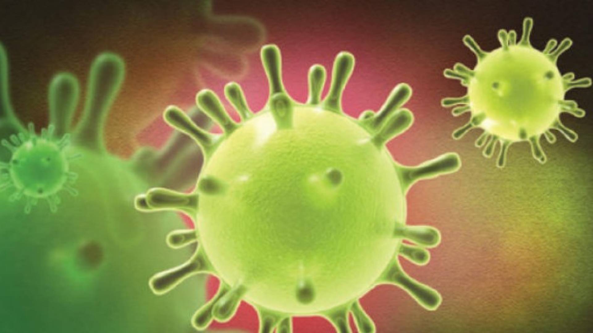 علماء يكتشفون نحو 1500 فيروس جديد