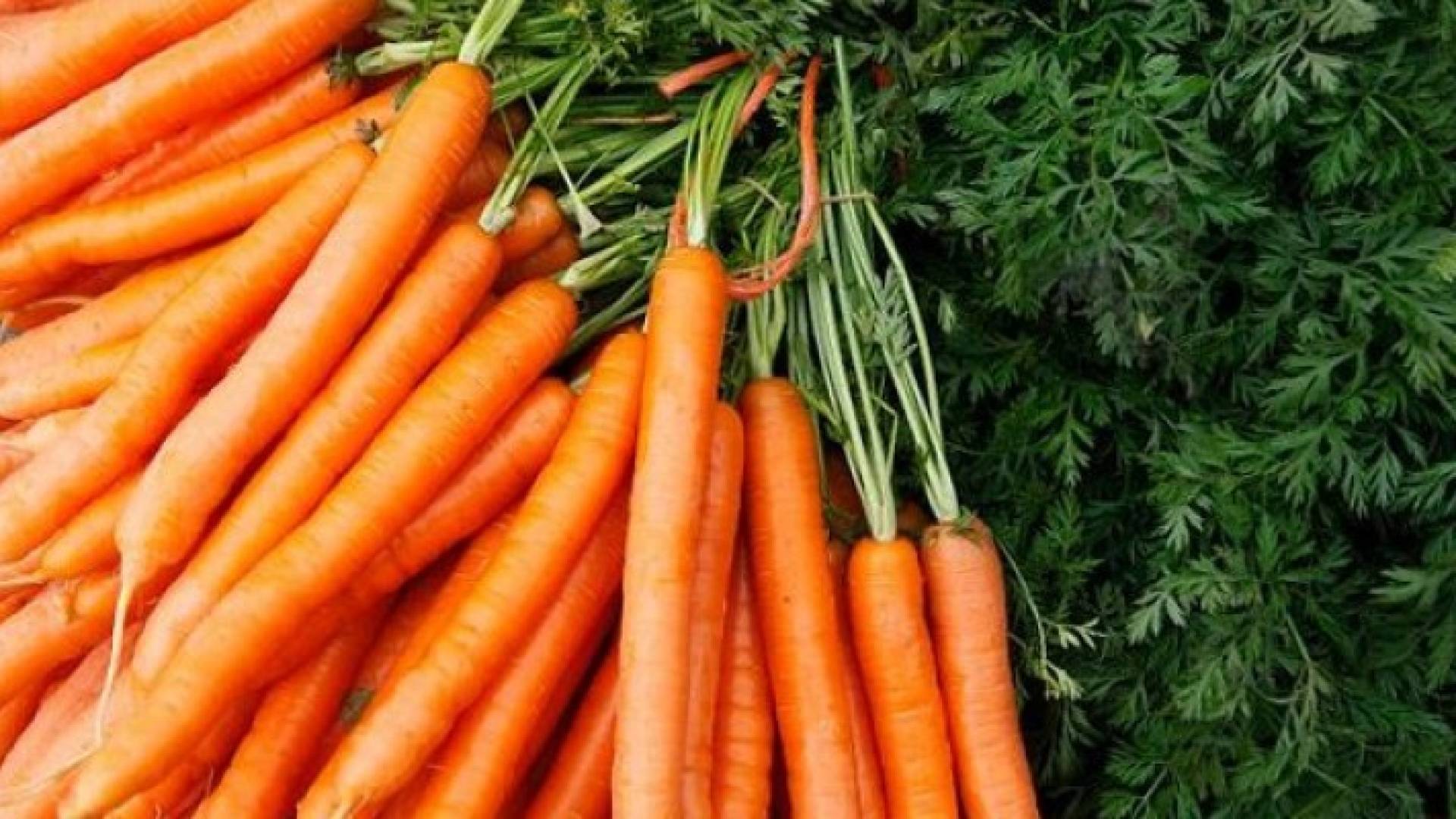 جزر - ارشيفية