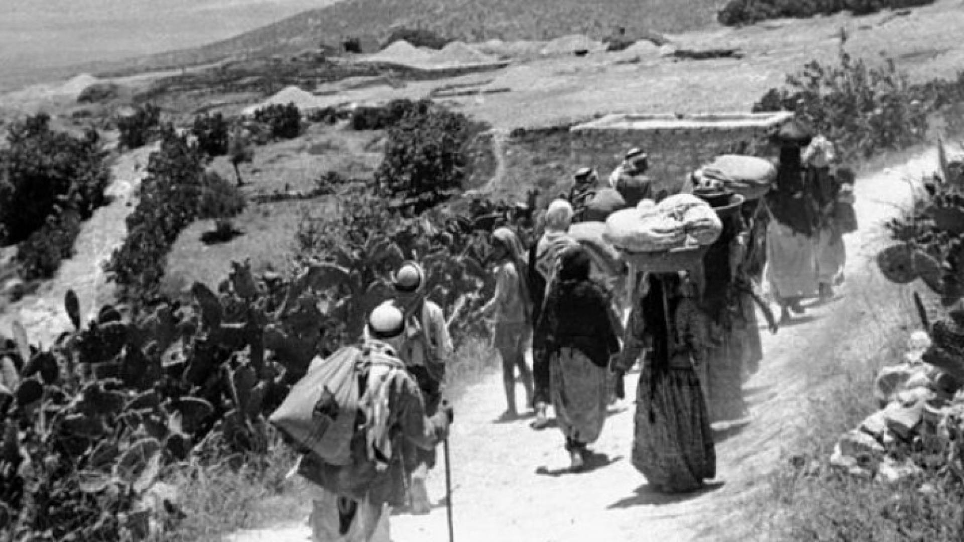 ارشيفية