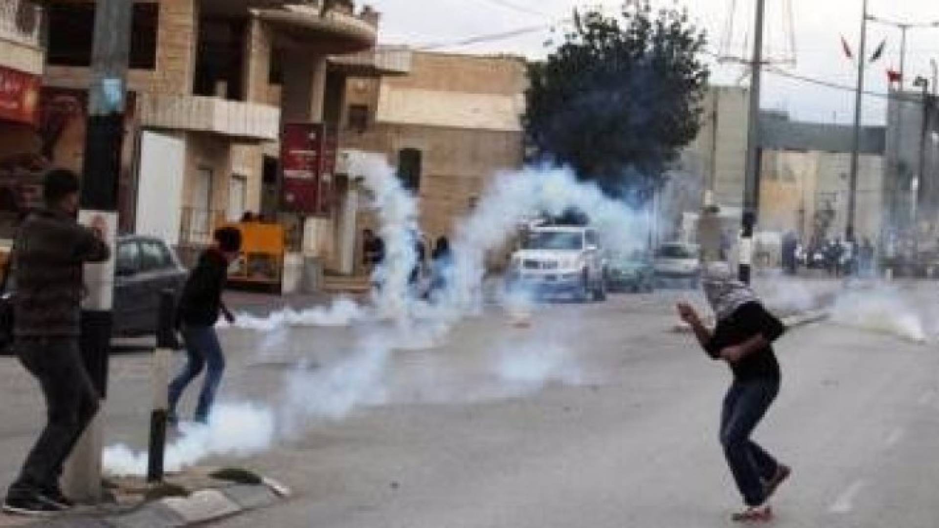أرشيفية 