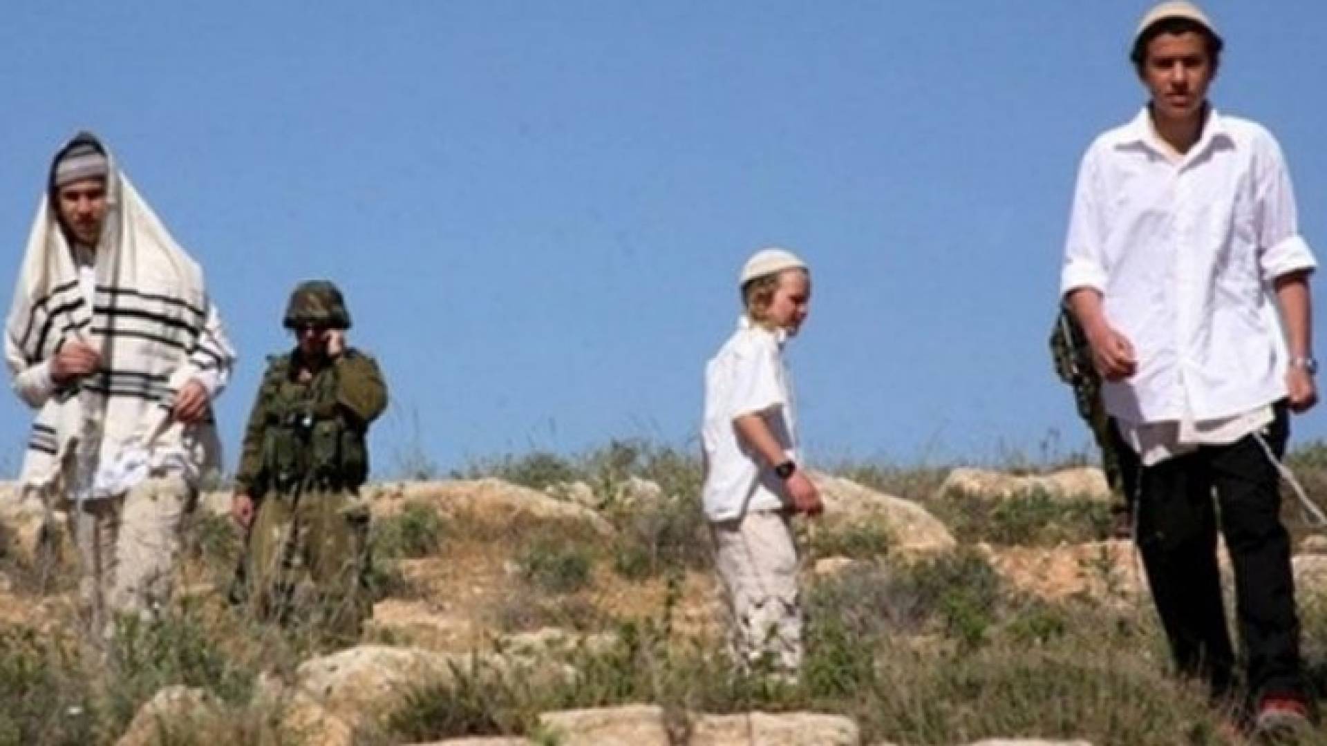 ارشيفية