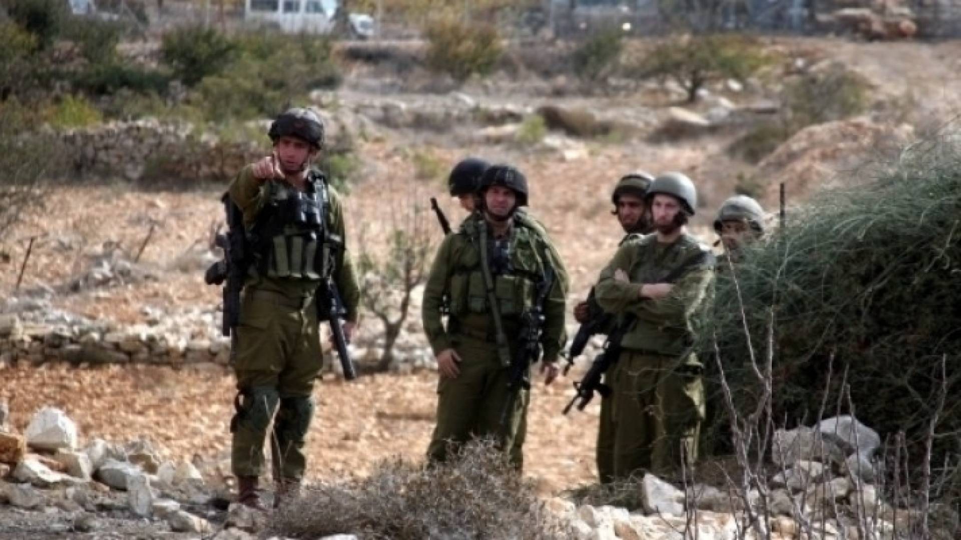 ارشيفية