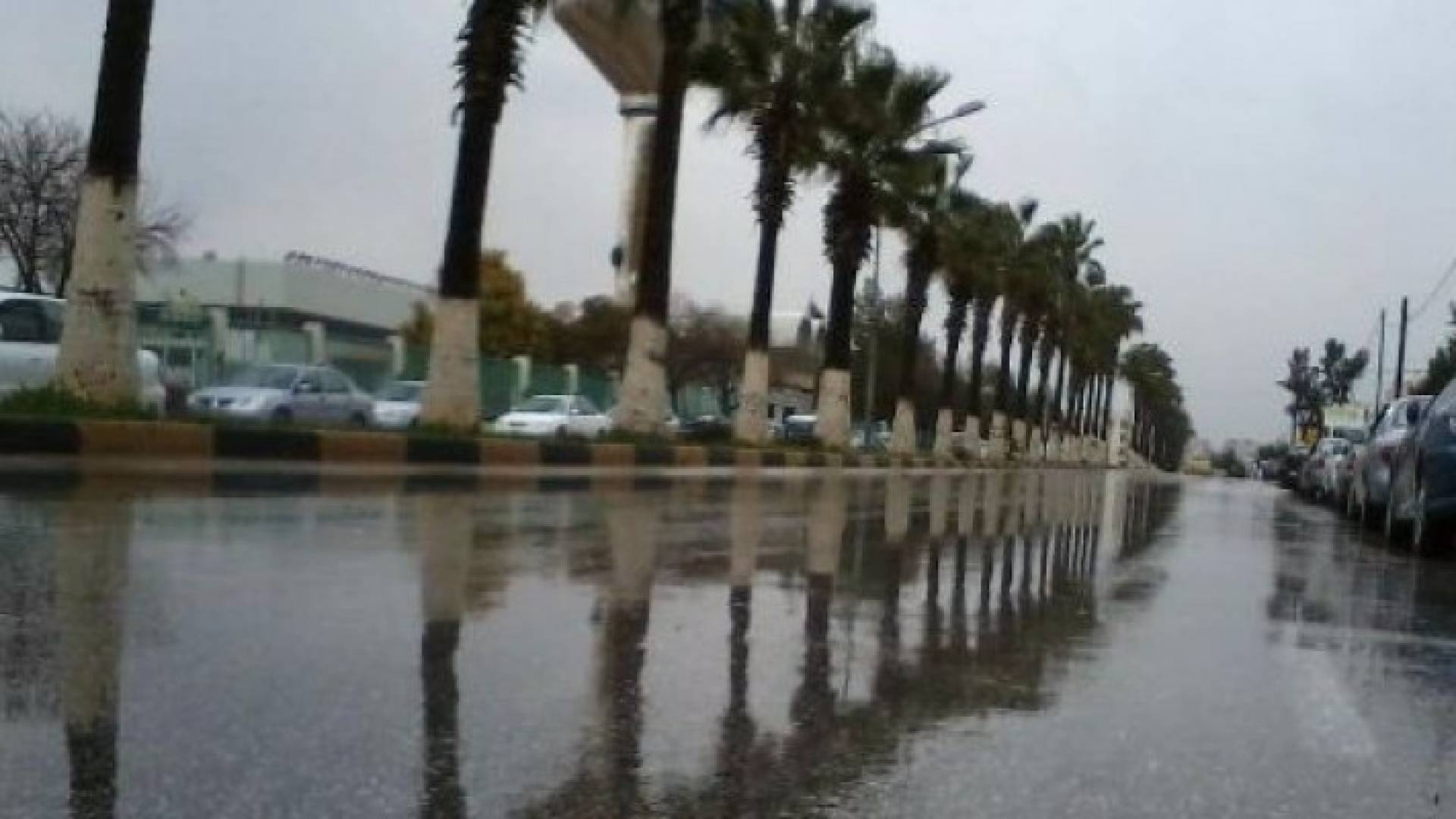 شتاء اربد - ارشيفية