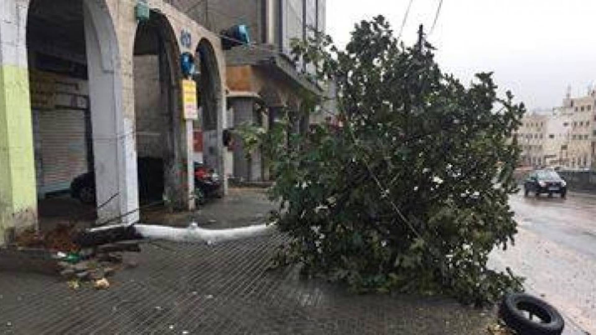 الصور من موقع طقس العرب 