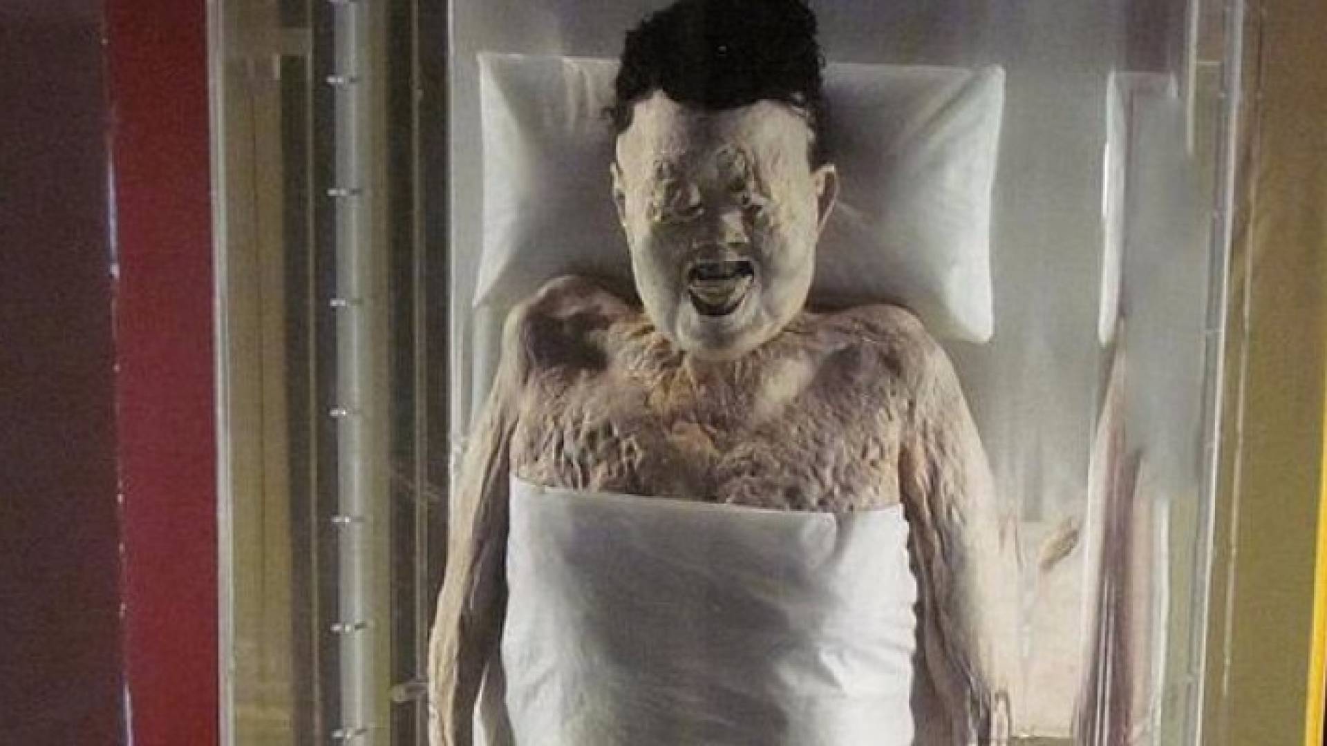 العلماء أعادوا تخيل شكل السيدة النبيلة