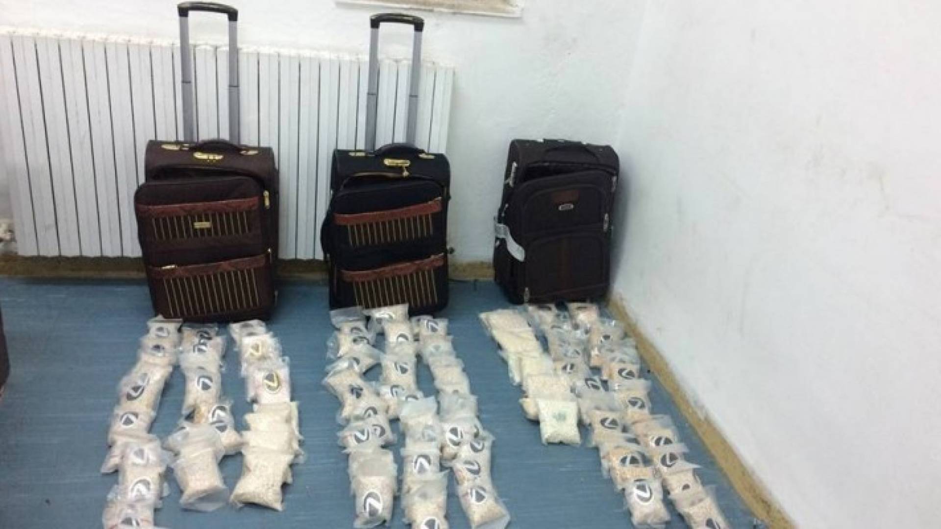 جانب من المضبوطات 