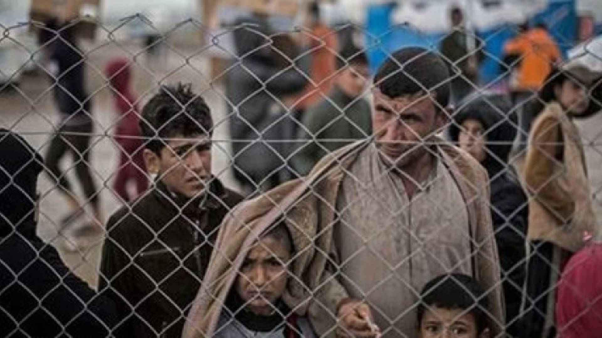 تجاوز عدد النازحين في أرجاء العراق 3 ملايين و250 ألف شخص