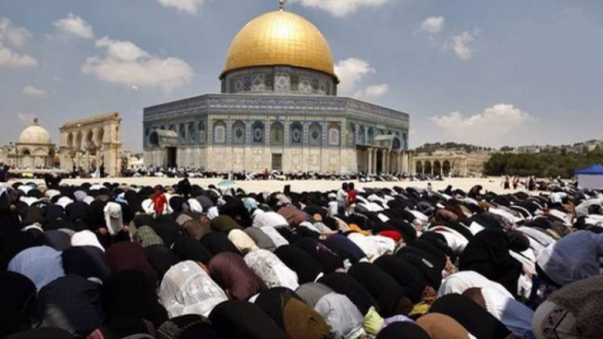 ارشيفية