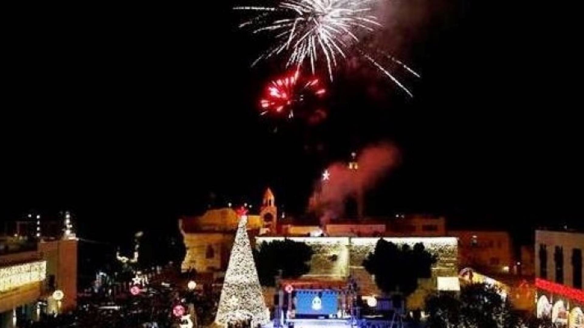 موقع هافينغتون بوست العالمي اختار الشجرة من بين أكثر الأشجار إلهاماً 