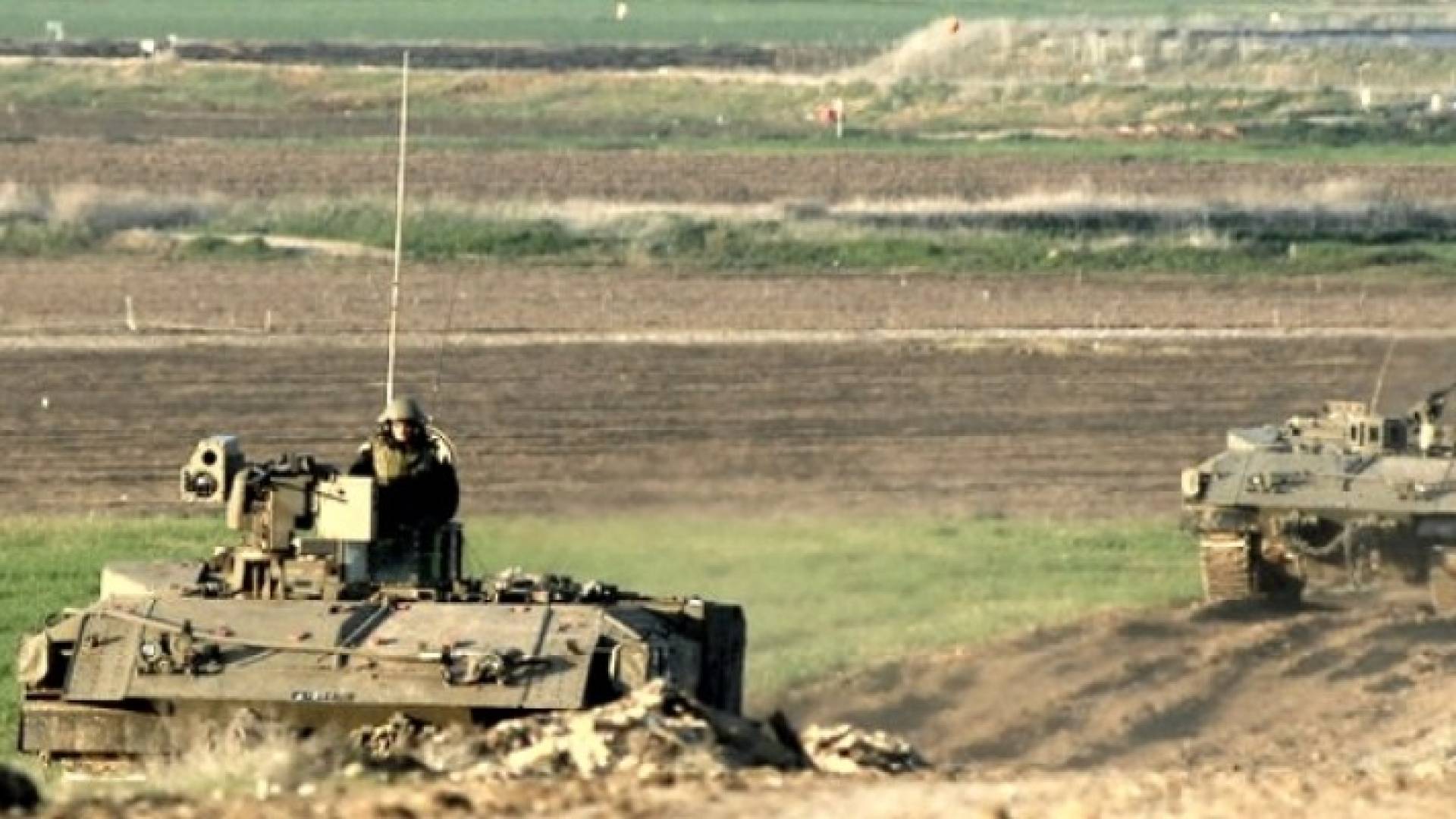 ارشيفية