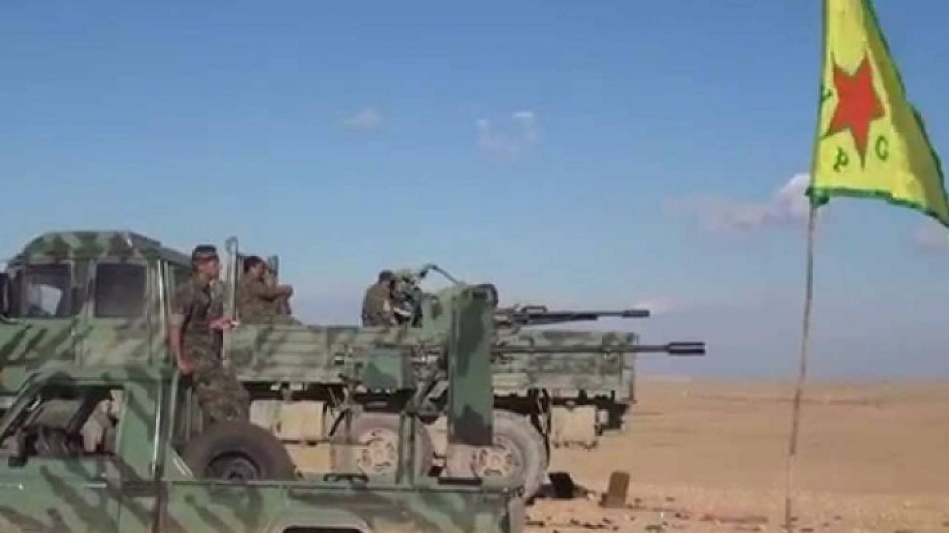 ارشيفية