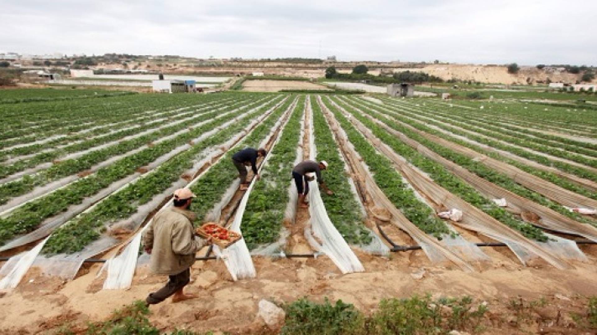 الصورة أرشيفية 