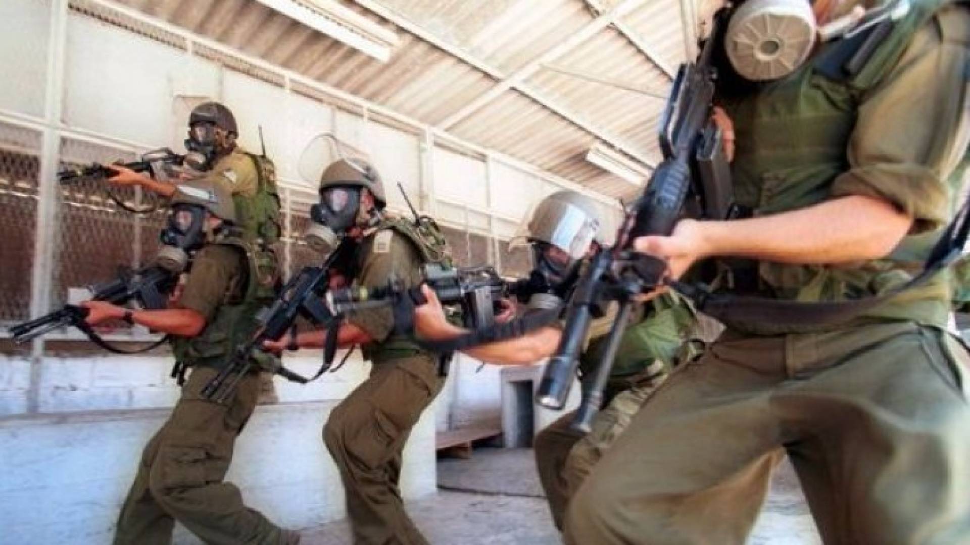 الصورة أرشيفية 