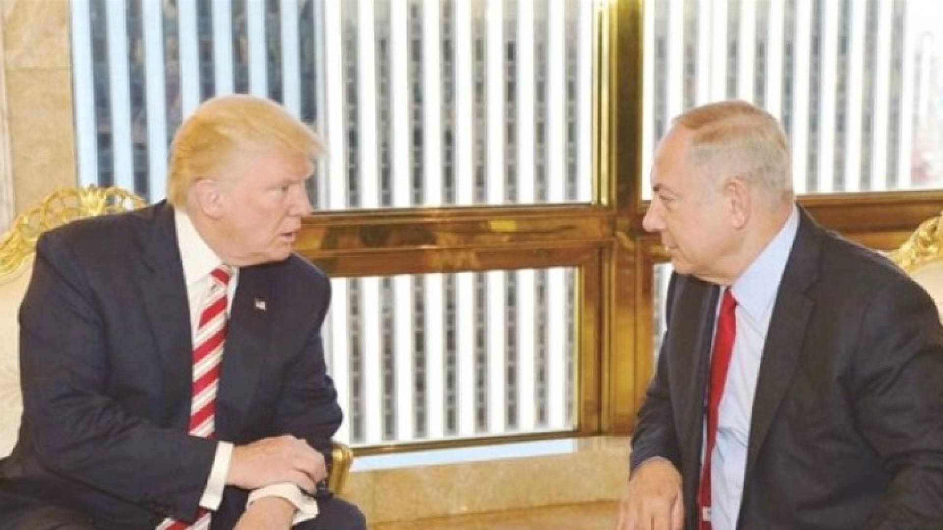 ارشيفية