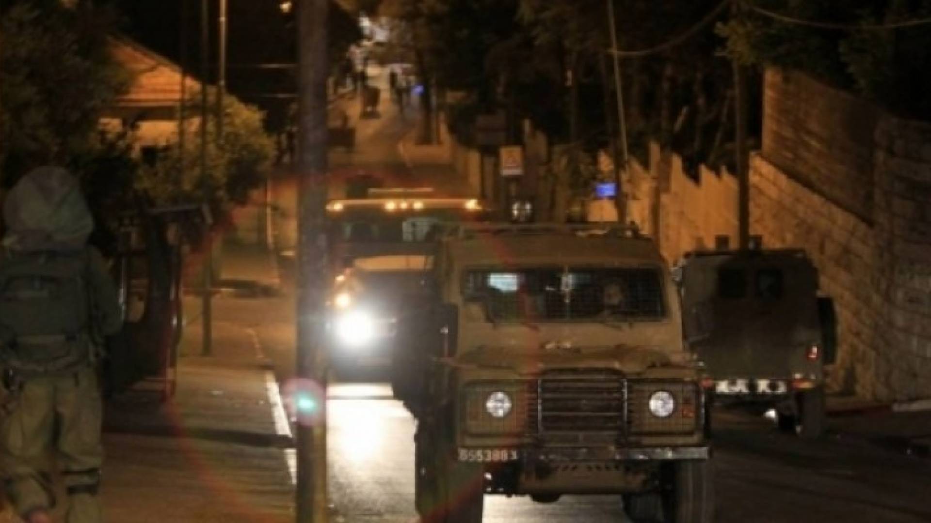 ارشيفية