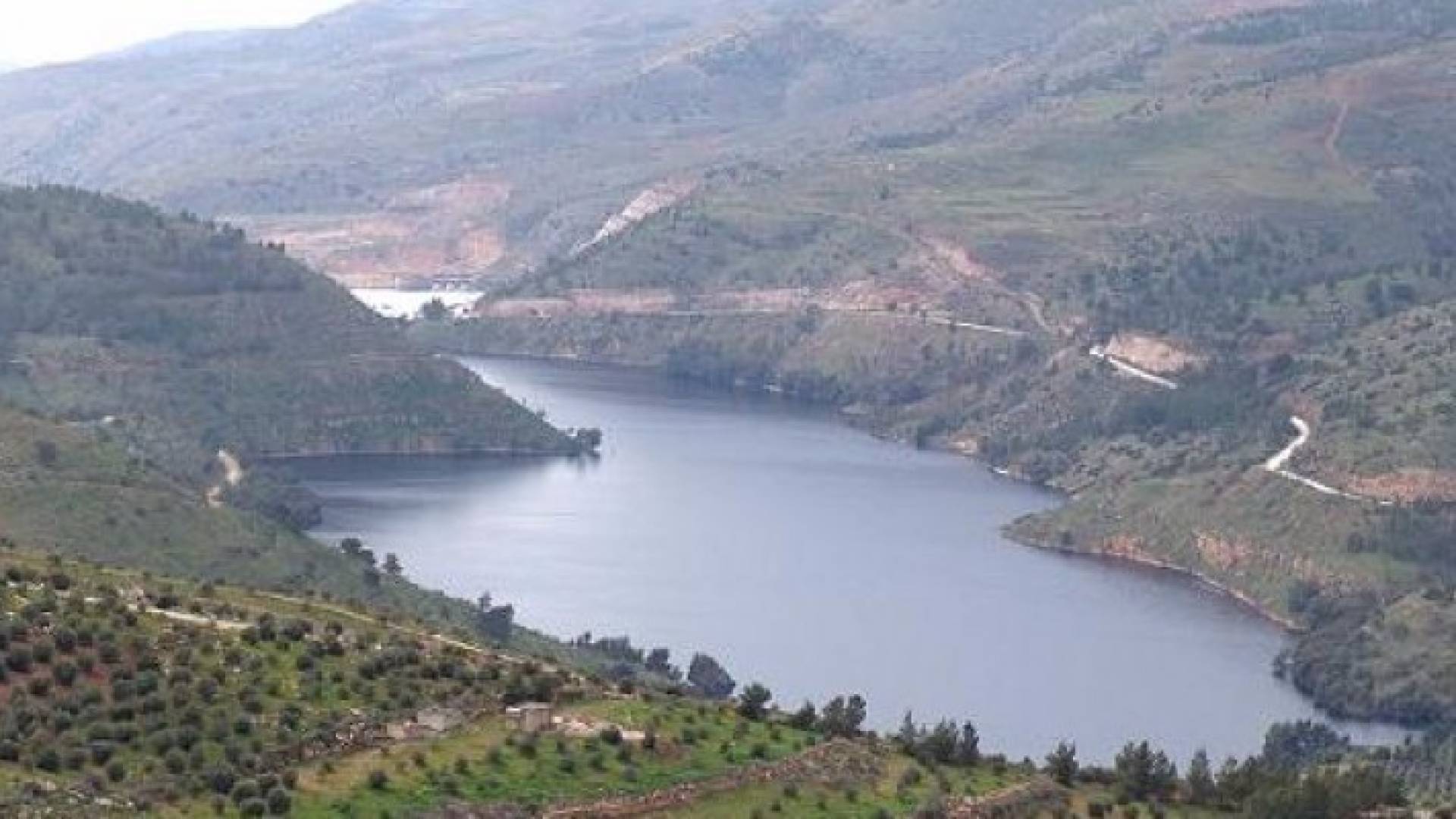 الصورة أرشيفية 