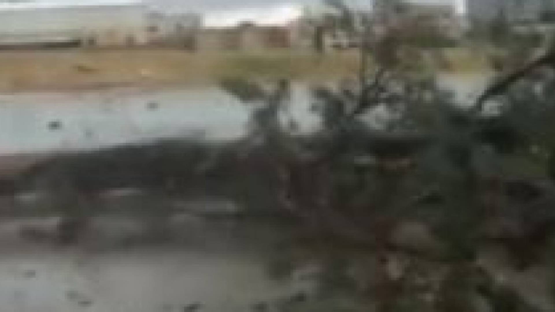 جانب من تكسير الاشجار بالمقابلين