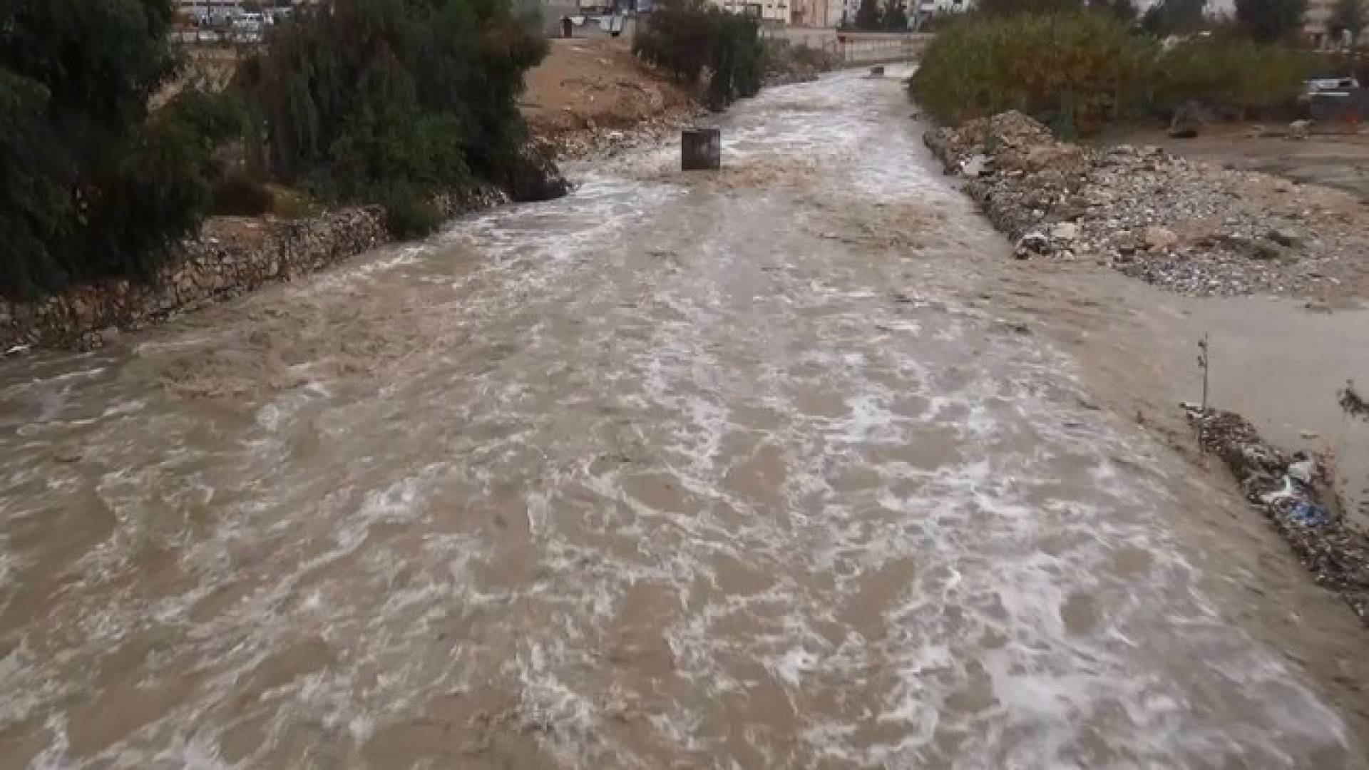 سيل الزرقاء 