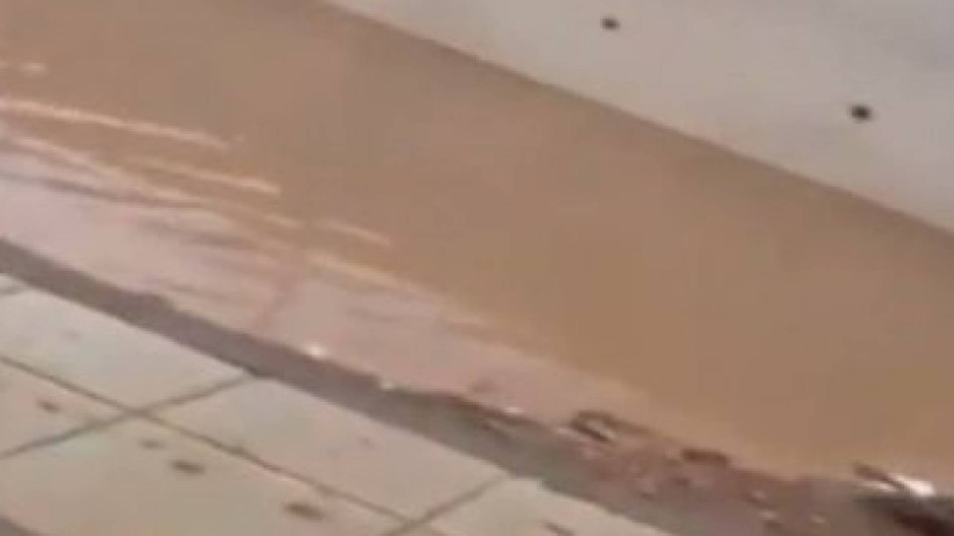 من الفيديو