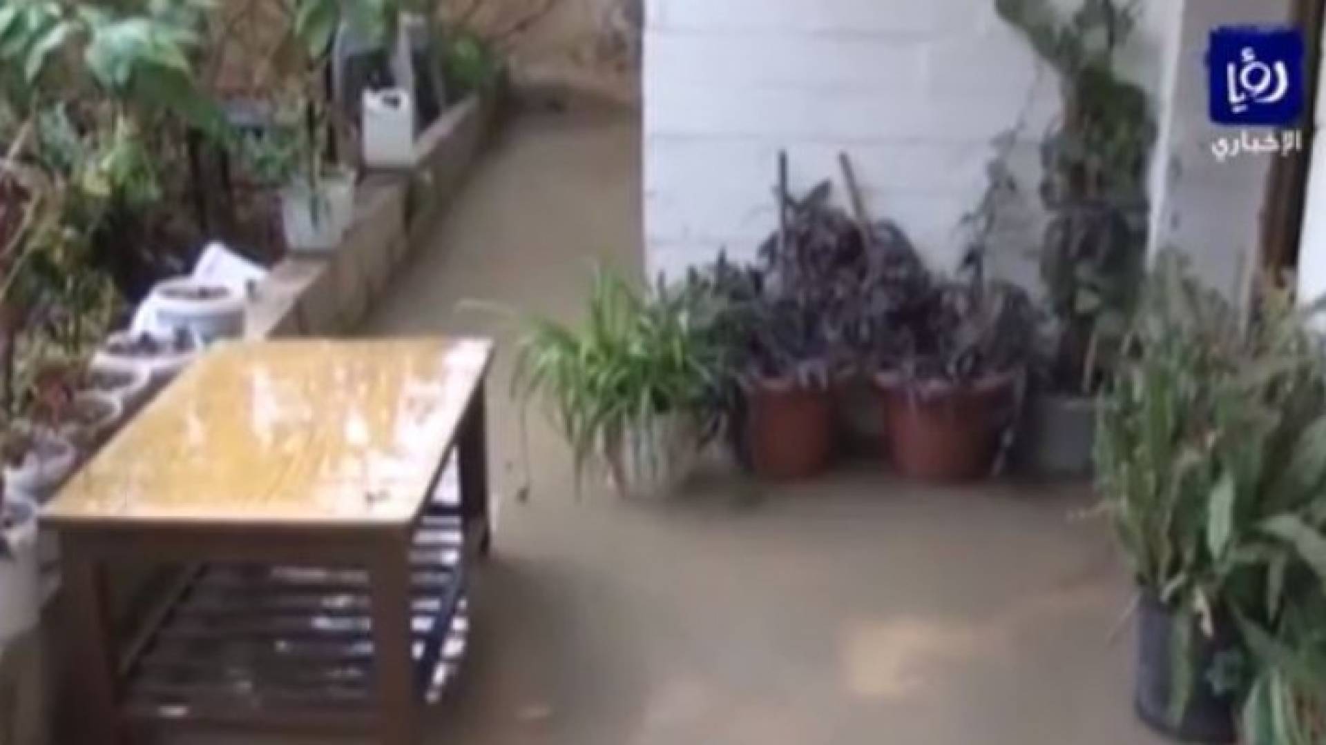 الصورة من الفيديو