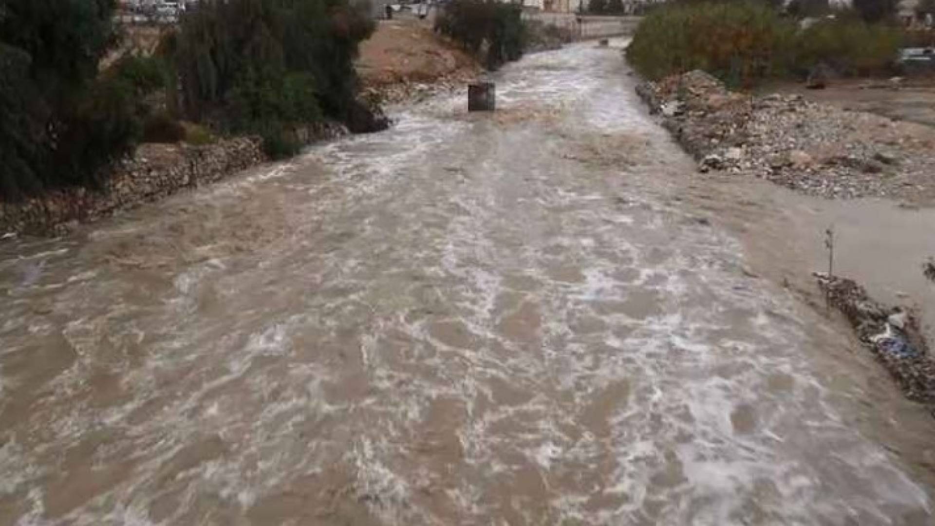 سيل الزرقاء