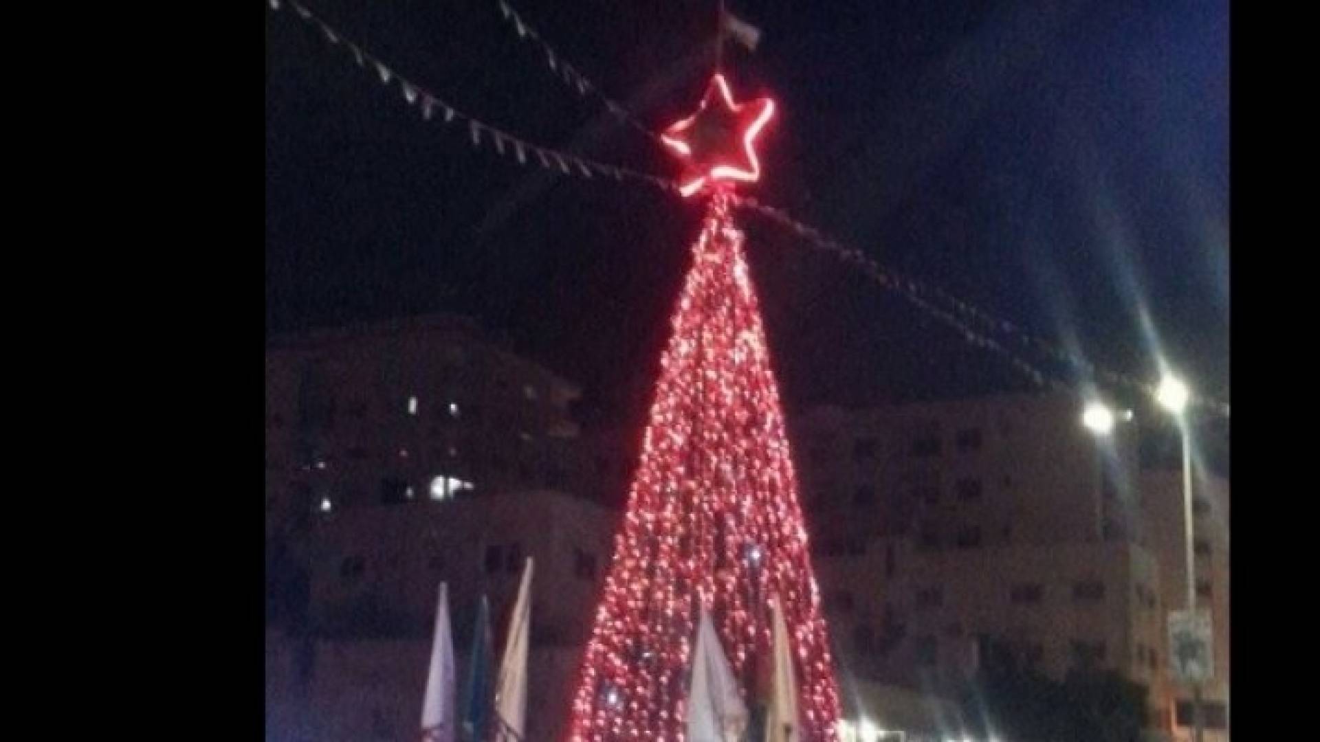 نابلس تضيئ شجرة الميلاد