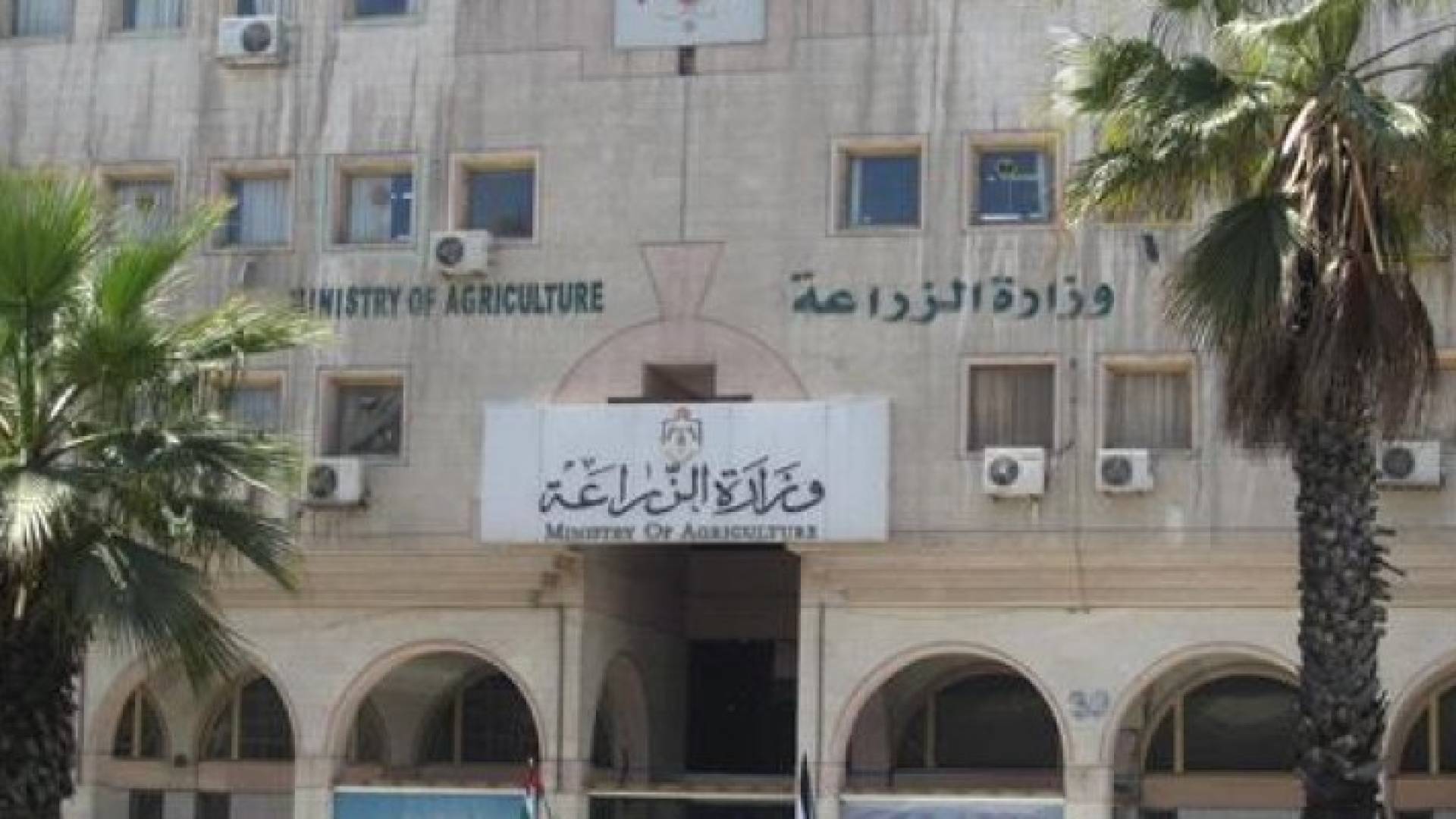ارشيفية
