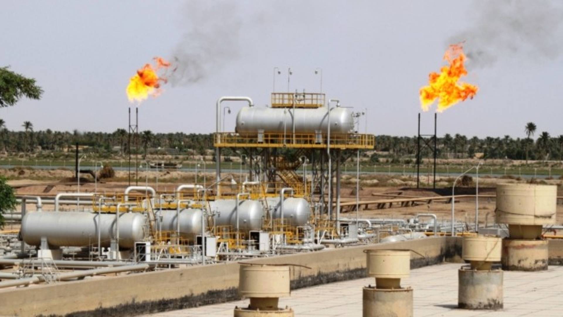 ارشيفية