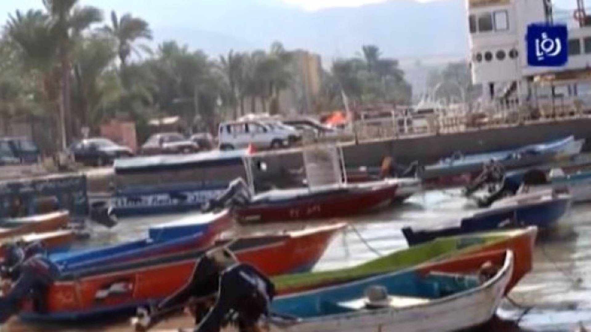 صورة من الفيديو 