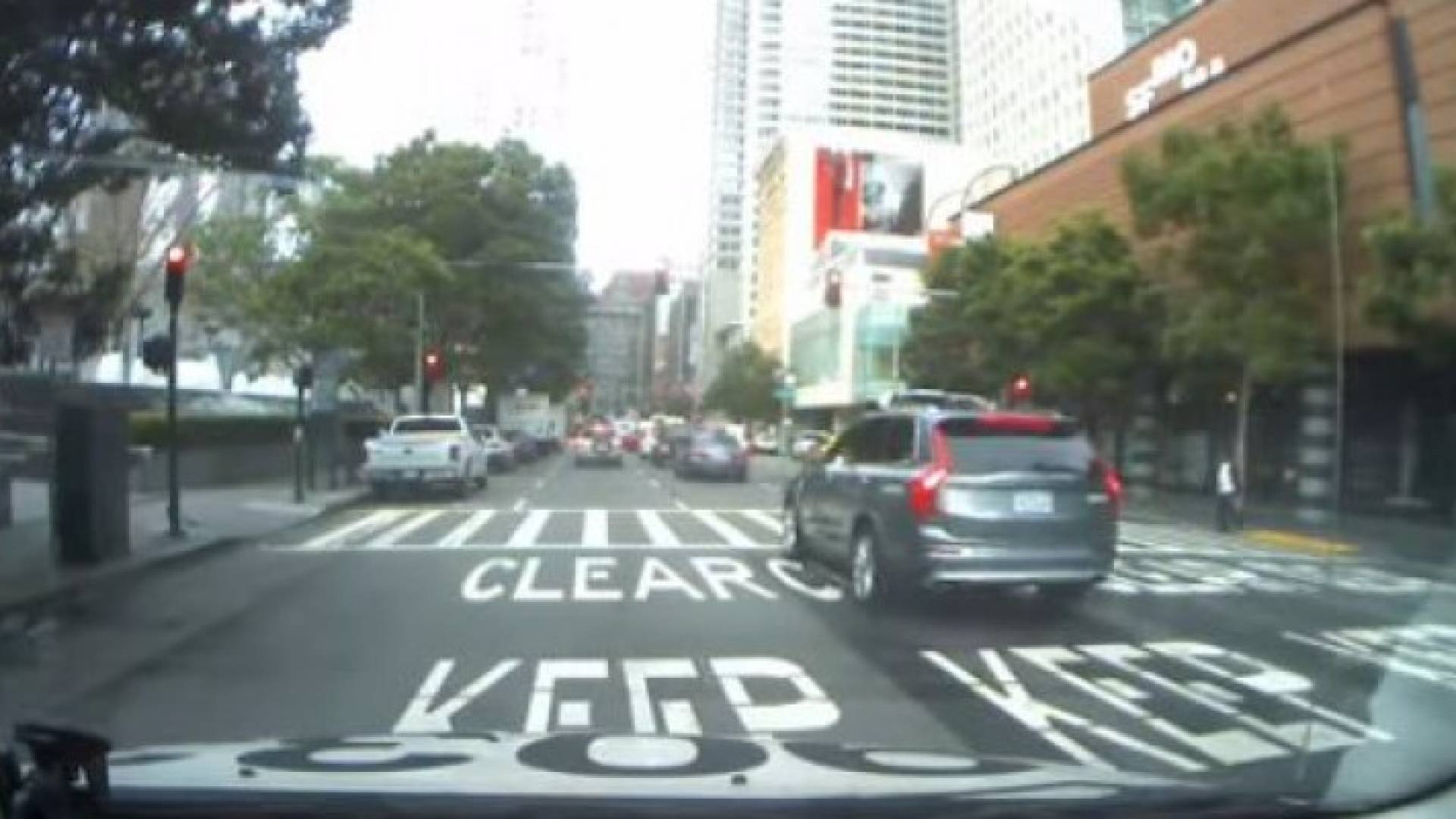 صورة من الفيديو 