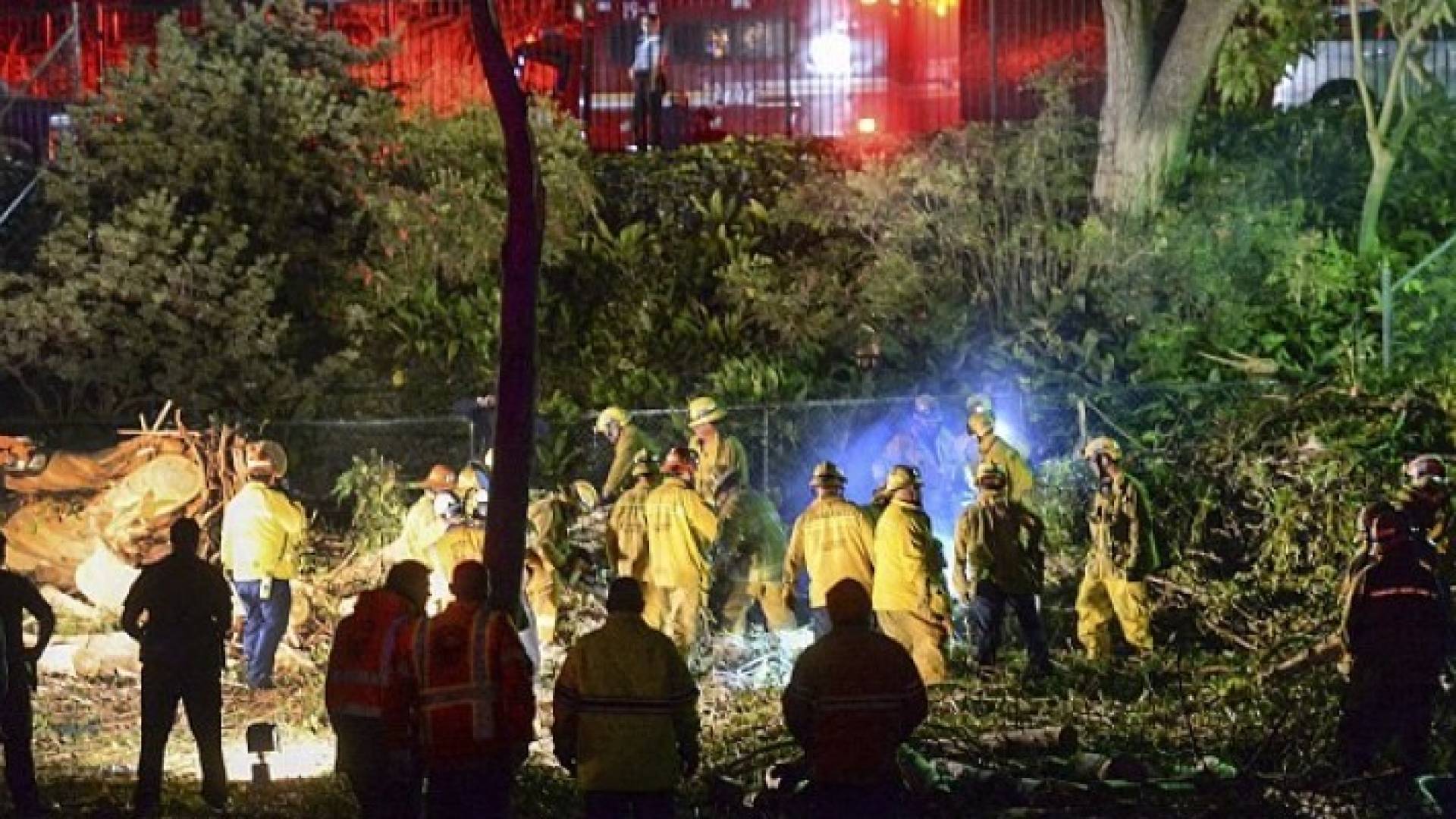 سقطت الشجرة حوالي الرابعة والنصف عصرا