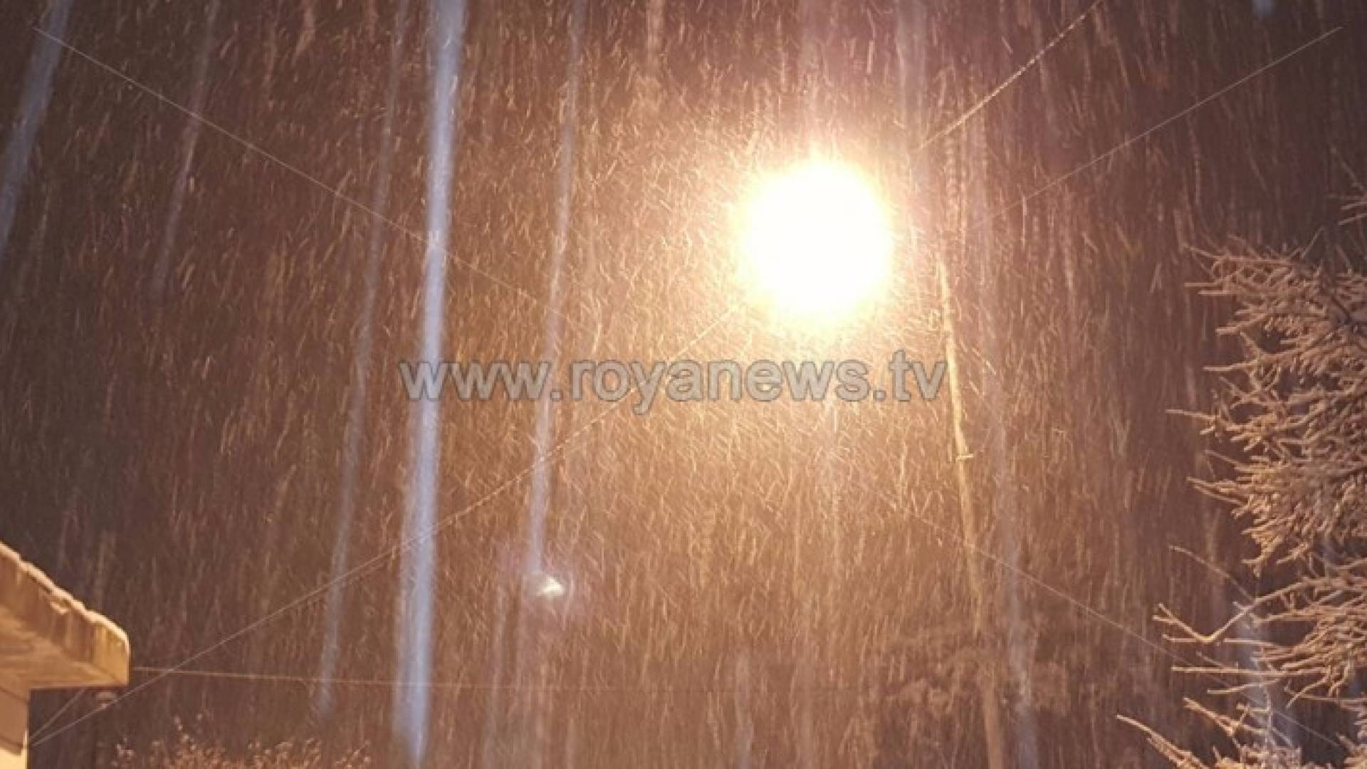 ثلوج في الشمال