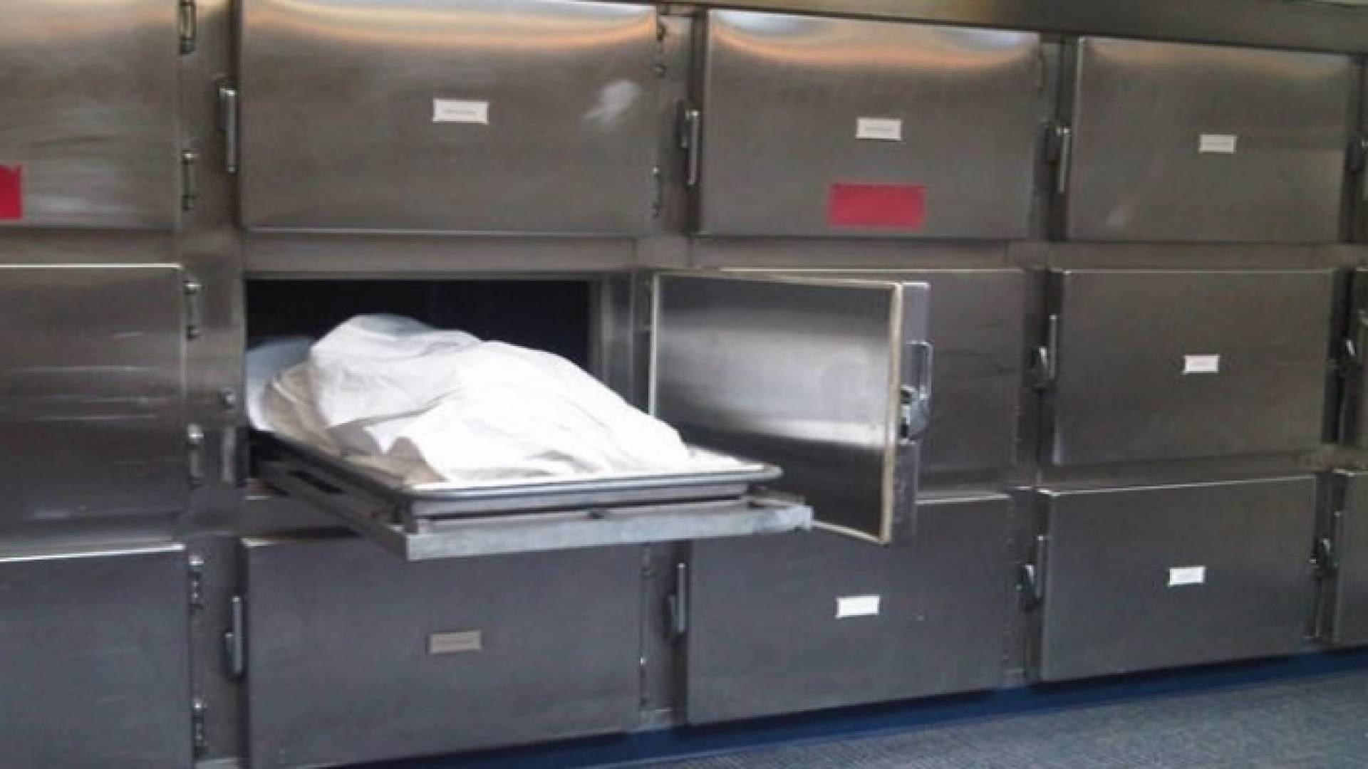 صورة تعبيرية