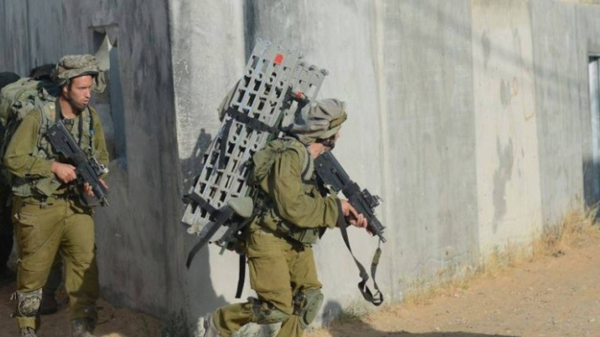 ارشيفية