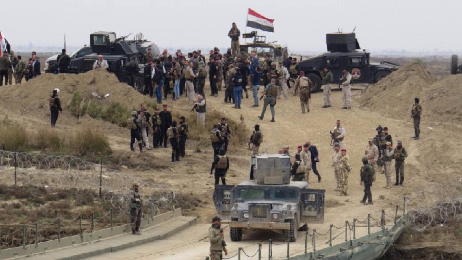 ارشيفية