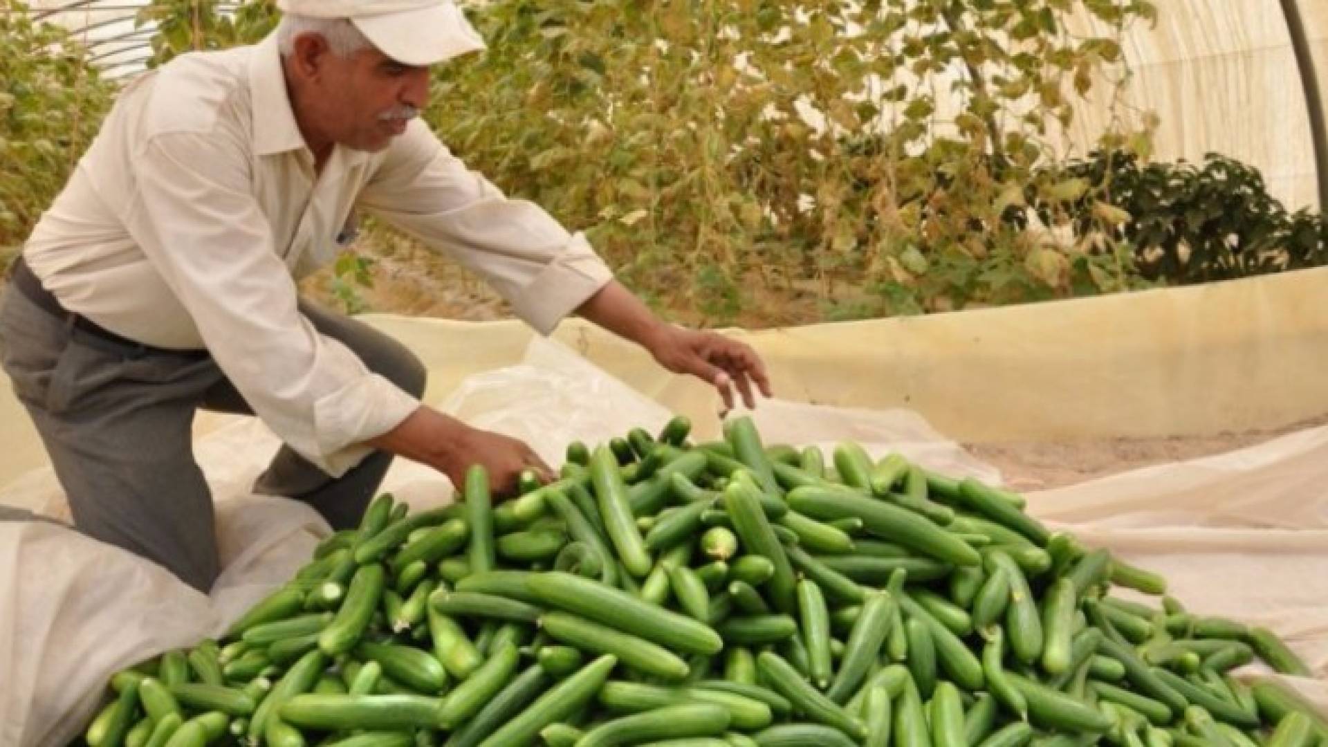 تعبيرية