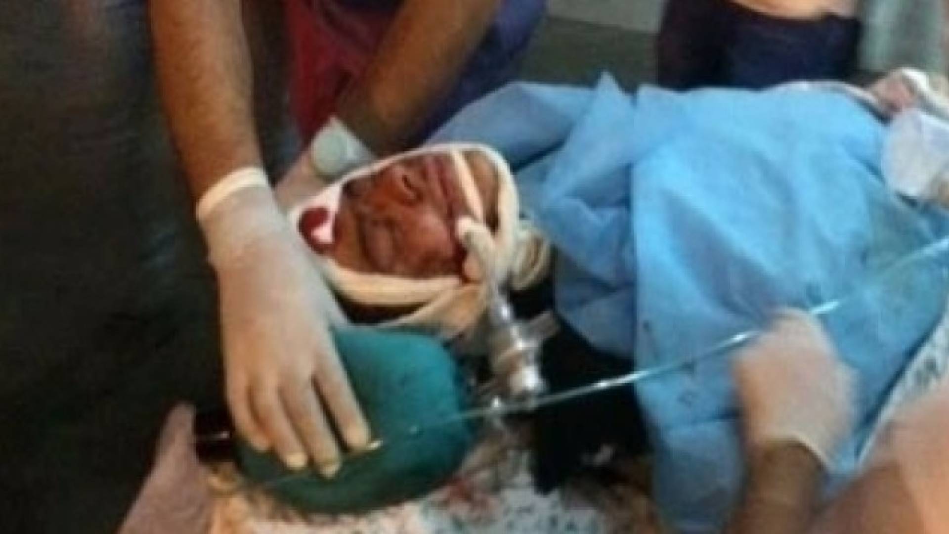 الطفل فارس البايض