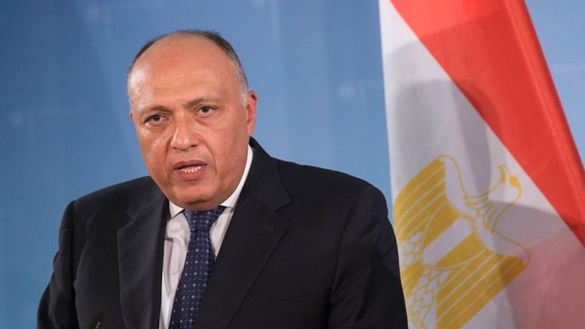 وزير الخارجية المصرية سامح شكري