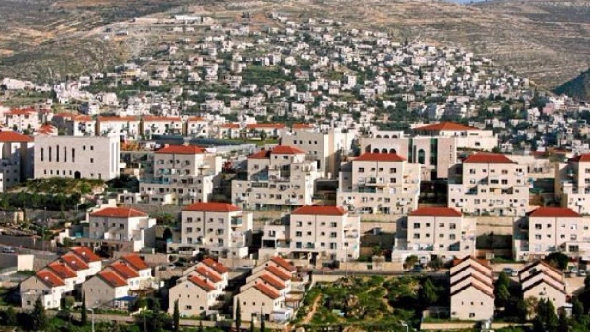 مستوطنات - ارشيفية