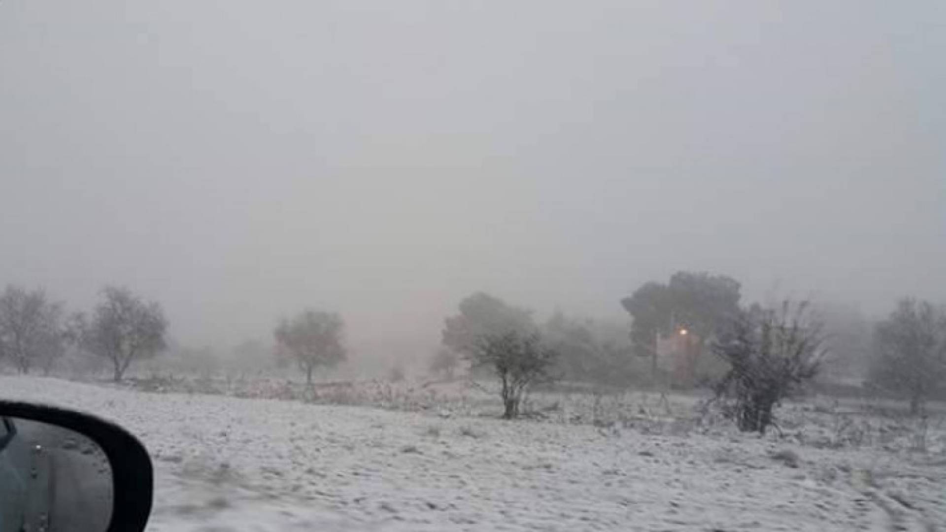 صورة من تساقط الثلوج في عجلون