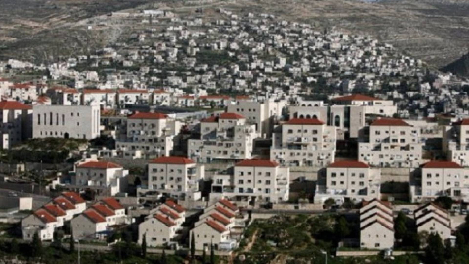ارشيفية