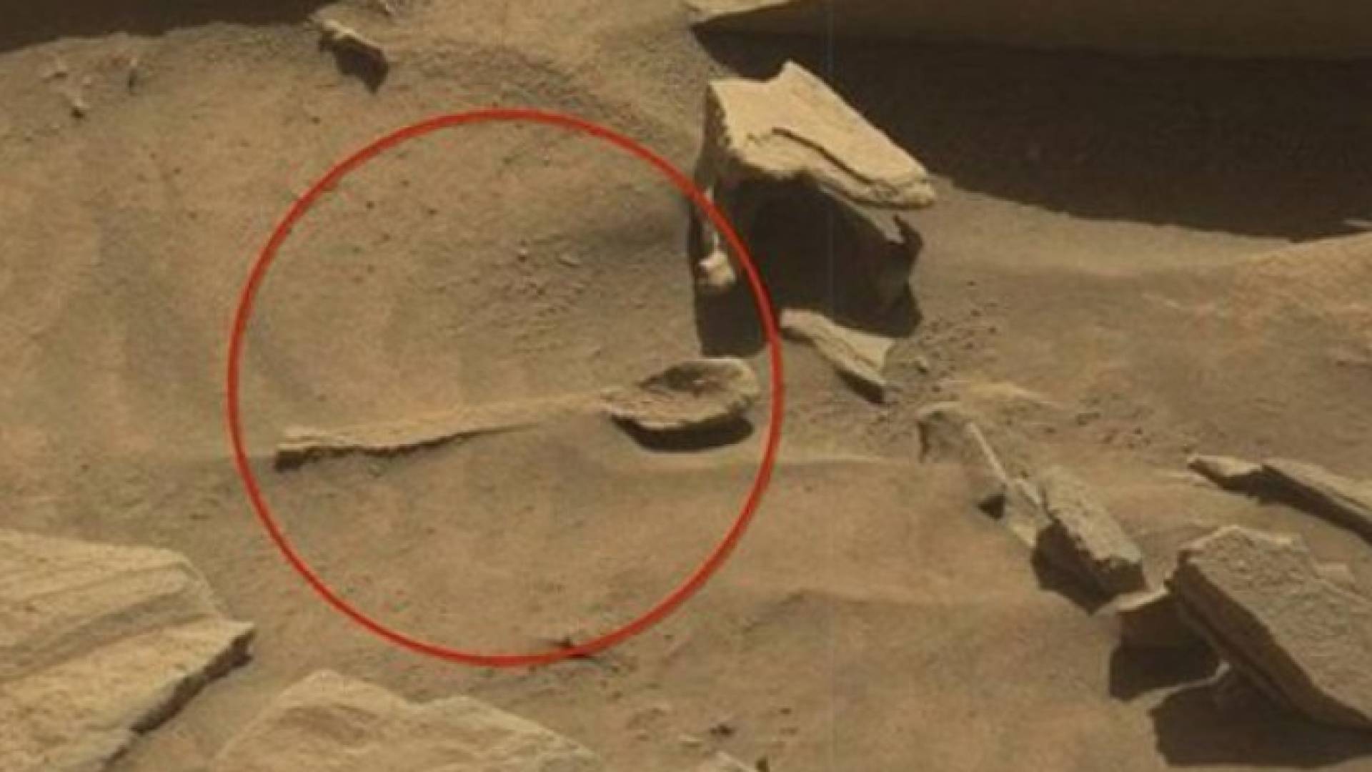 ملعقة كبيرة على سطح كوكب المريخ