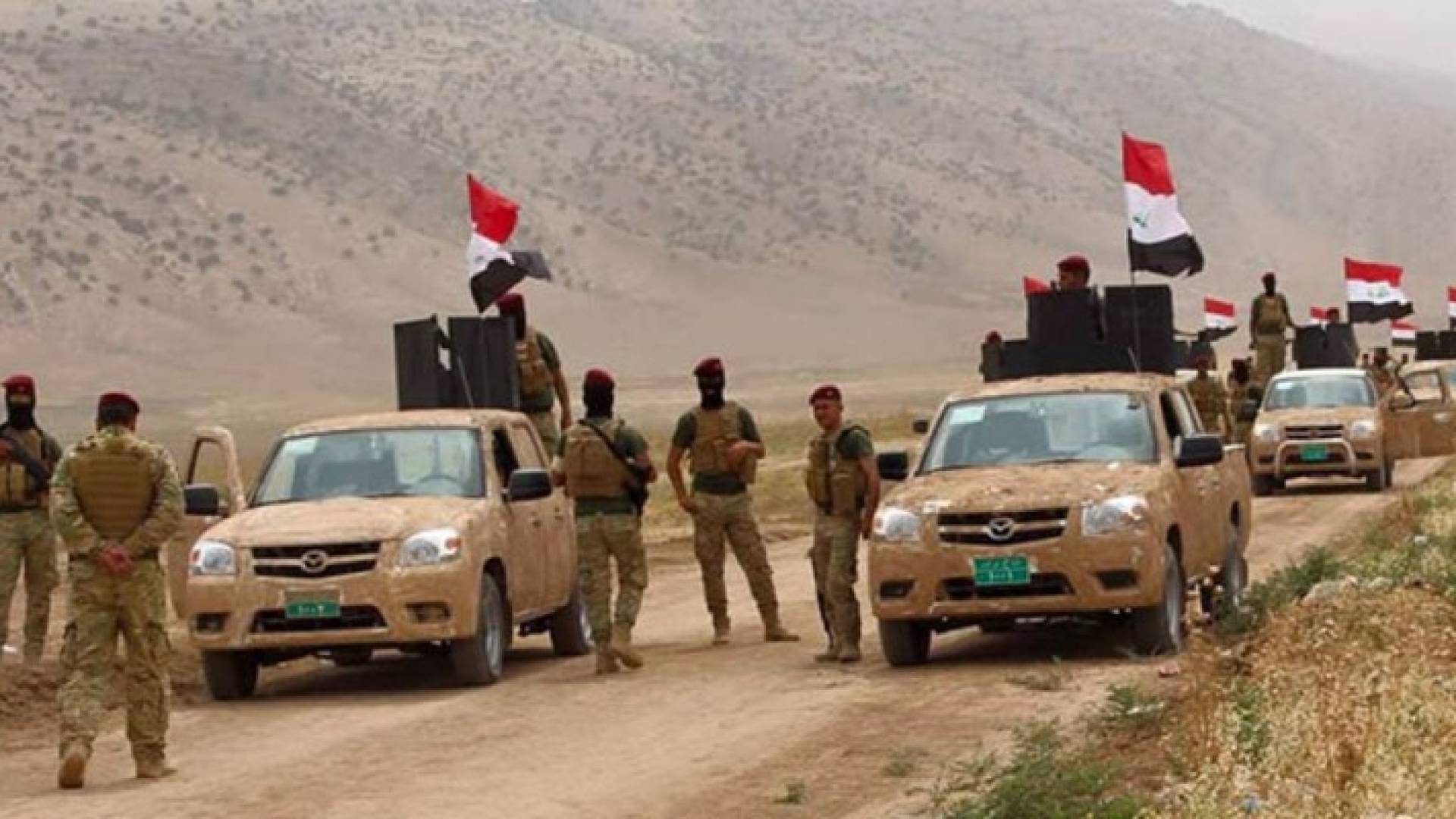 ارشيفية