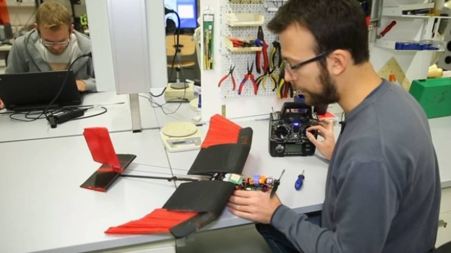 باحثون سويسريون يطورون "درون" تحاكي الطيور في حركتها