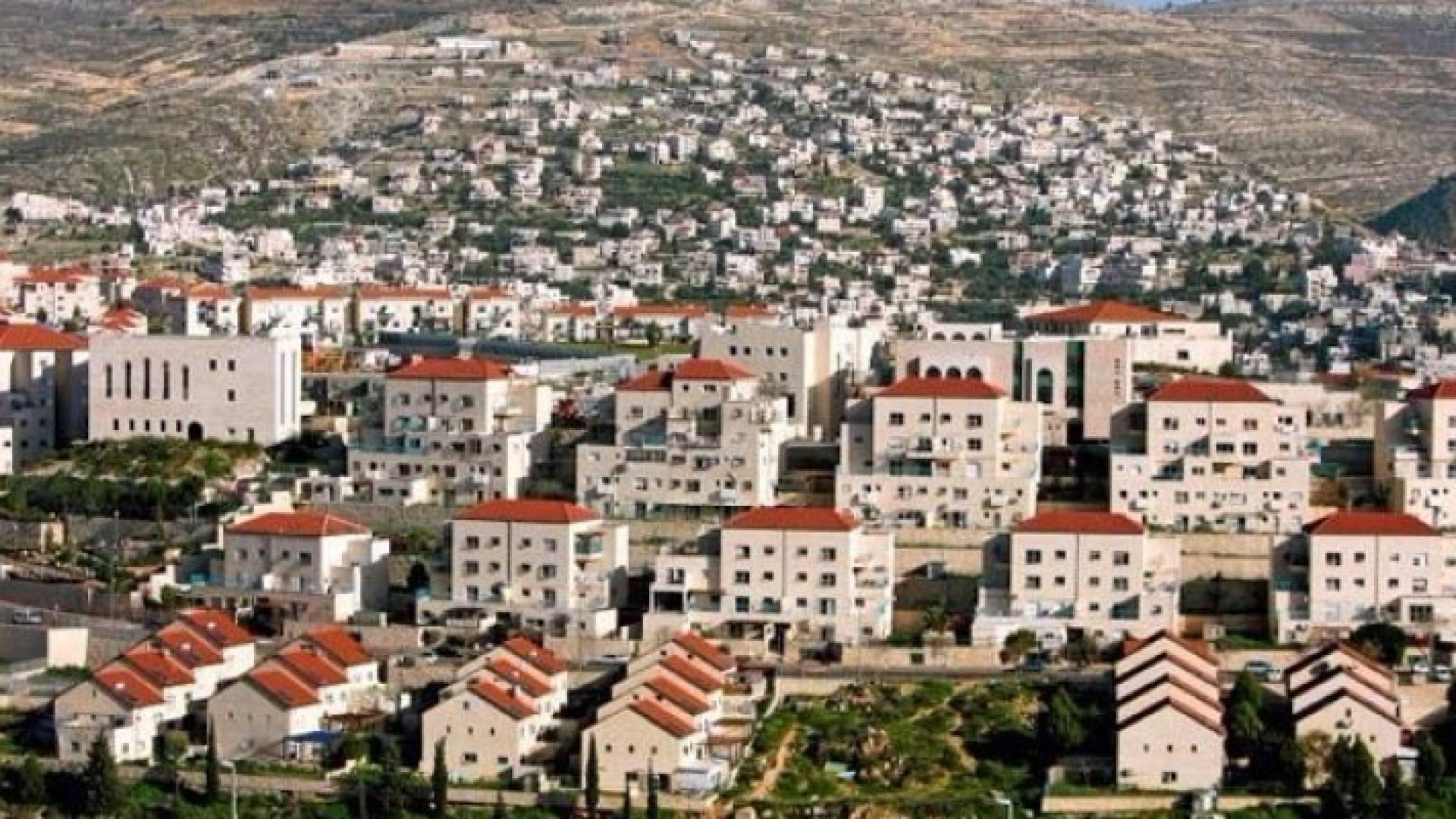 مستوطنات - ارشيفية 