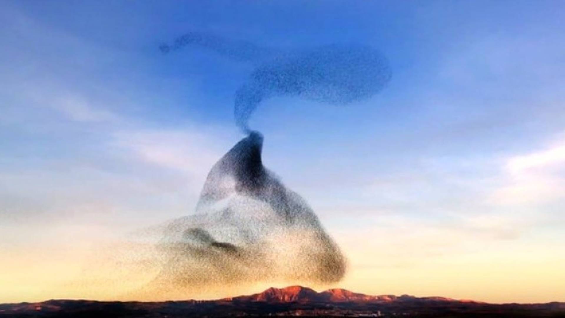 صورة من الفيديو